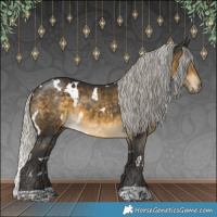 Horse Color:White Spotted Silver Buckskin 