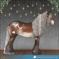 Horse Color:White Spotted Silver Brown
