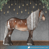 Horse Color:White Spotted Silver Brown 