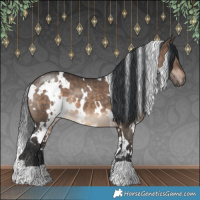 Horse Color:White Spotted Brown Dun