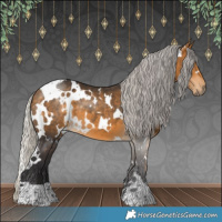 Horse Color:White Spotted Silver Buckskin