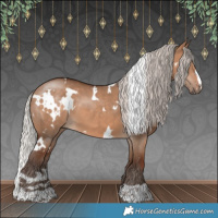 Horse Color:White Spotted Silver Bay Dun