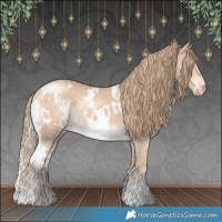 Horse Color:White Spotted Perlino 