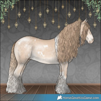 Horse Color:White Spotted Perlino 