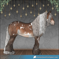 Horse Color:White Spotted Silver Brown