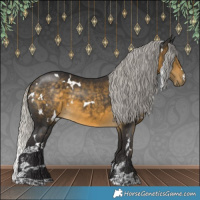 Horse Color:White Spotted Silver Buckskin
