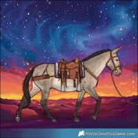 Horse Color:Brown Dun 