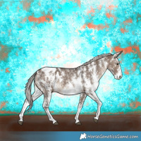 Horse Color:Silver Brown Dun Sabino Appaloosa Rabicano 
