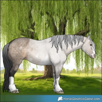 Horse Color:Brown Dun 