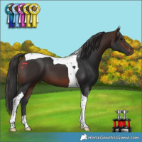 Horse Color:Brown Tobiano 