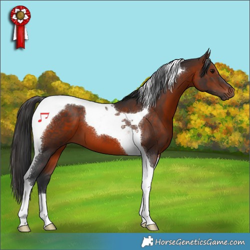 Horse Color:Brown Tobiano 