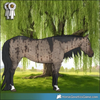 Horse Color:Brown Dun Brindle 