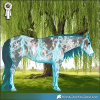 Horse Color:Thunderstruck Brown Ice Sabino 