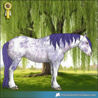 Horse Color:Watercolor Buckskin Ice Sabino 