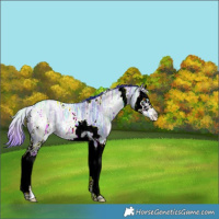 Horse Color:Nacre Watercolor White Spotted Brown Ice Dun Splash