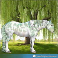 Horse Color:Watercolor Liver Red Dun Tobiano Appaloosa Brindle 