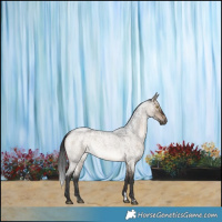 Horse Color:Brown Roan Dun 