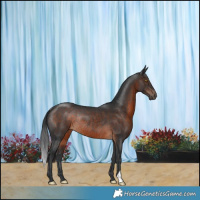 Horse Color:Brown Rabicano 