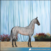 Horse Color:Brown Roan