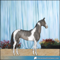 Horse Color:Grullo Tobiano Rabicano Brindle 
