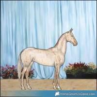 Horse Color:Chocolate Palomino Pearl Dun Rabicano Brindle