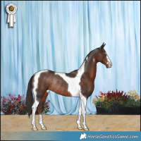 Horse Color:Liver Chestnut Tobiano Rabicano