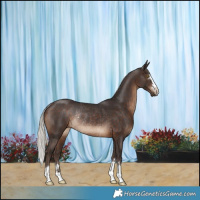 Horse Color:Silver Brown Rabicano 