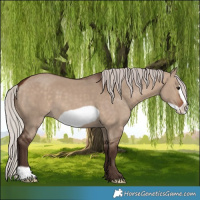 Horse Color:Silver Brown Dun Frame 