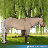 Horse Color:Silver Bay Dun 