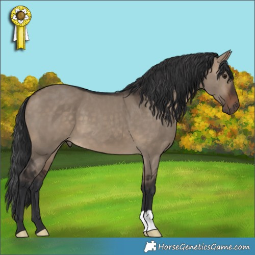 Horse Color:Brown Dun 