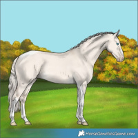 Horse Color:Cremello Dun Tobiano