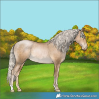 Horse Color:Chocolate Palomino Pearl Mushroom Rabicano 