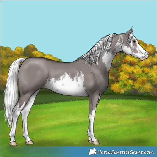 Horse Color:Platinum White Spotted Liver Red Dun Mushroom 