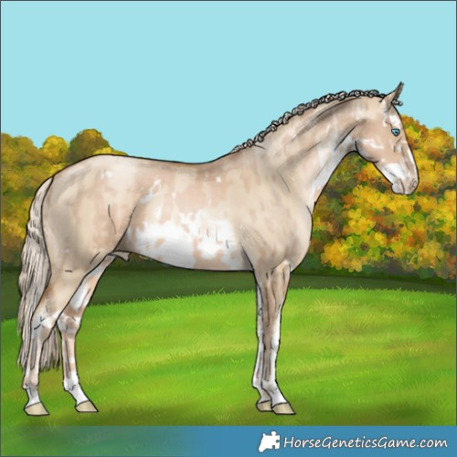 Horse Color:White Spotted Chocolate Palomino Pearl and White Spotted Chocolate Palomino Pearl Dun