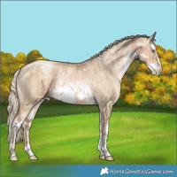 Horse Color:White Spotted Chocolate Palomino Pearl  and White Spotted Chocolate Palomino Pearl Dun 