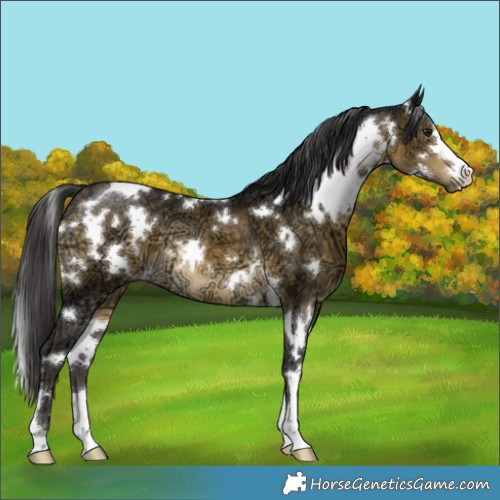 Horse Color:White Spotted Buckskin Ice Mushroom 