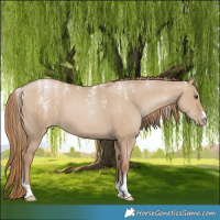 Horse Color:Powder White Grullo Pearl 