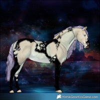Horse Color:Void Painted Watercolor Cremello Tobiano