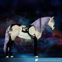 Horse Color:Void Painted Watercolor Cremello Tobiano