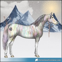 Horse Color:Nacre Silver Bay Ice Tobiano 