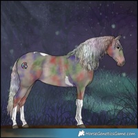 Horse Color:Nacre Silver Black Tobiano