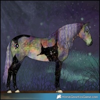 Horse Color:Void Painted Nacre Silver Buckskin Tobiano