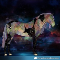 Horse Color:Void Painted Nacre Silver Buckskin Tobiano