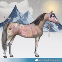 Horse Color:Nacre Bay Ice 