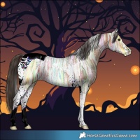 Horse Color:Bay Ice Tobiano 