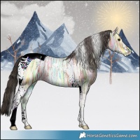 Horse Color:Bay Ice Tobiano 