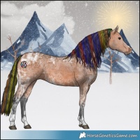 Horse Color:Painted Bay Ice 