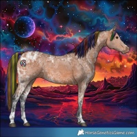 Horse Color:Painted Bay Ice