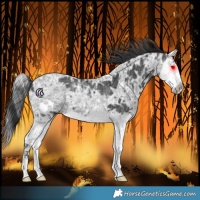 Horse Color:Black Ice Splash 