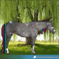 Horse Color:Painted Midnight Bay Ice Onyx 